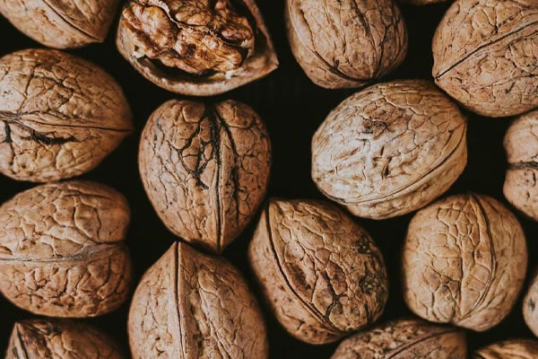 Blog - Processing of low-quality walnuts in processing plants